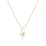 The Necklace - HIBA JABER